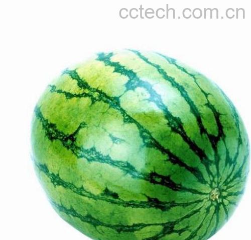 果蔬百科西瓜-0