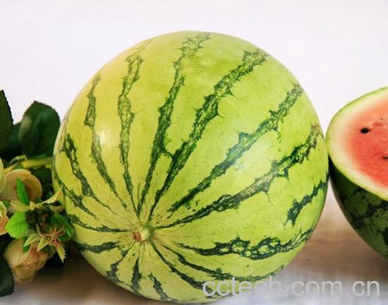 果蔬百科西瓜-0