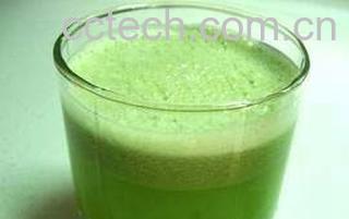 果蔬百科香瓜苹果枇杷汁-0