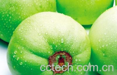 果蔬百科香瓜-0