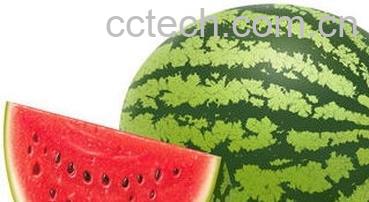 果蔬百科西瓜-0