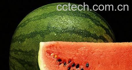 果蔬百科西瓜-0