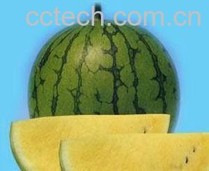 果蔬百科西瓜-0