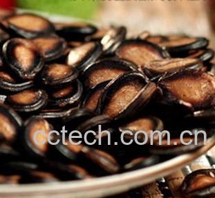 果蔬百科西瓜子-0