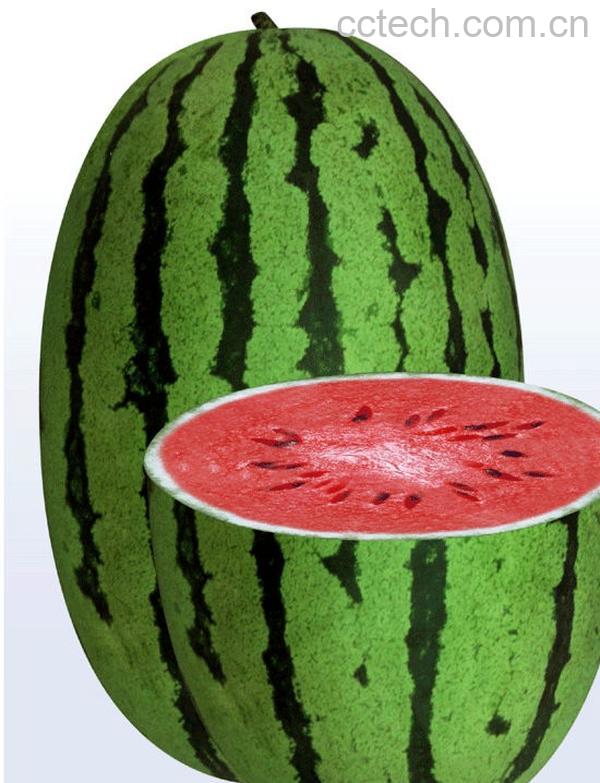 果蔬百科西瓜-0