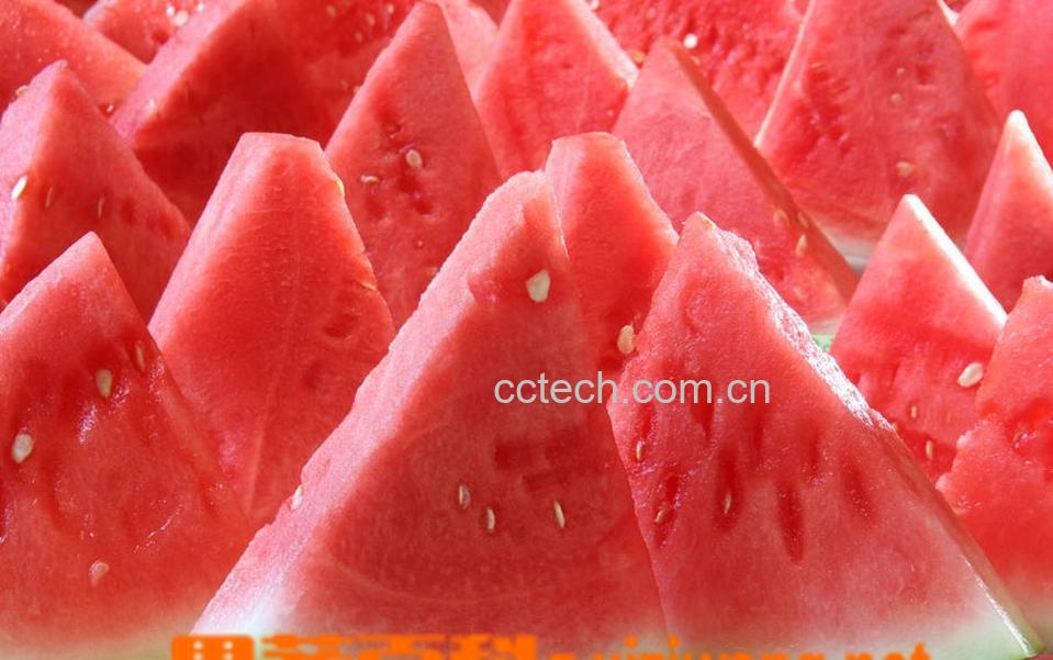 果蔬百科西瓜-0