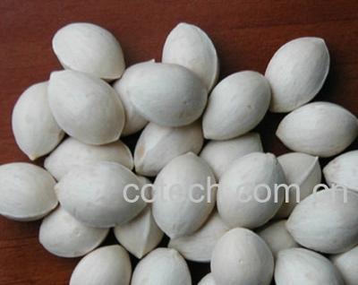 果蔬百科白果仁-0