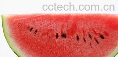 果蔬百科西瓜-0