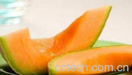 果蔬百科哈密瓜-0