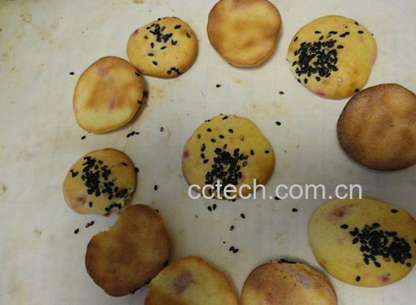 果蔬百科火龙果皮芝麻小饼-0