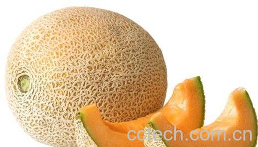 果蔬百科哈密瓜-0