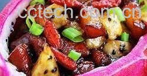 果蔬百科火龙果香醋肉-0