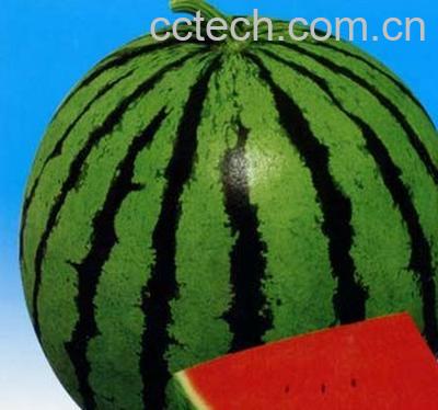 果蔬百科西瓜-0