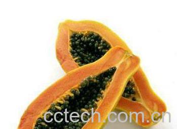 果蔬百科木瓜-0