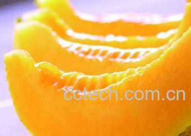 果蔬百科哈蜜瓜-0