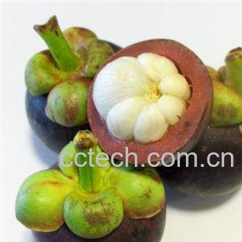 果蔬百科山竹怎么吃 山竹的饮食禁忌-0