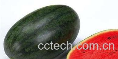果蔬百科黑美人瓜-0