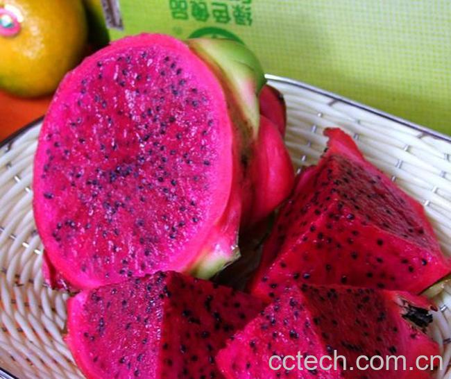 果蔬百科火龙果-0