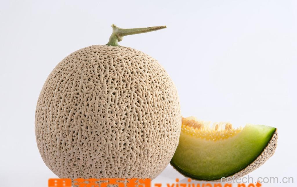 果蔬百科孕妇能吃哈密瓜吗?-0