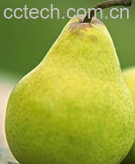 果蔬百科多吃梨有什么好处-1