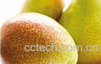 果蔬百科多吃梨有什么好处-2