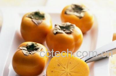 果蔬百科柿子-0