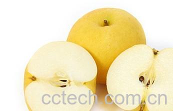 果蔬百科梨-0
