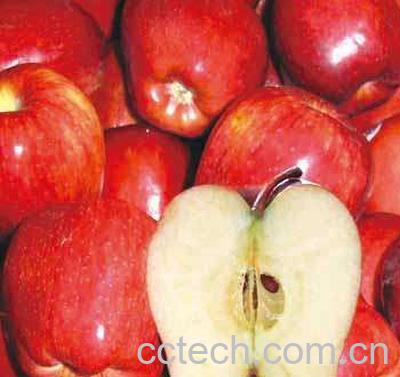 果蔬百科蛇果-0