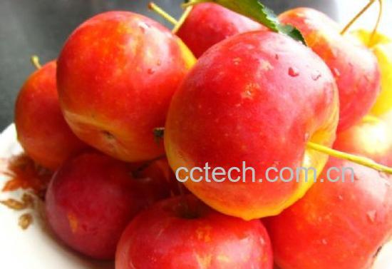 果蔬百科沙果-0