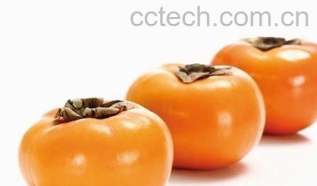 果蔬百科柿子-0