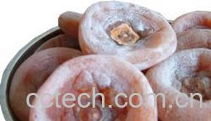 果蔬百科柿子饼-0