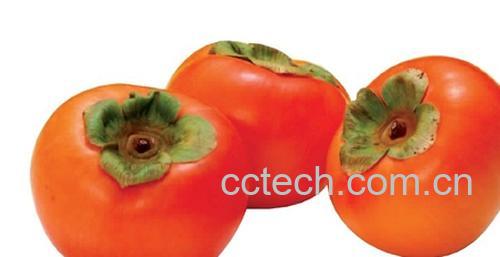 果蔬百科柿子-0