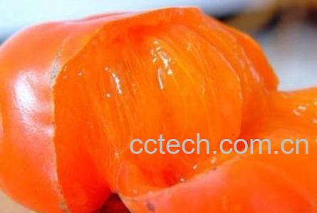 果蔬百科柿子-0