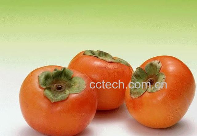 果蔬百科柿子-0