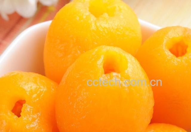 果蔬百科糖水枇杷罐头-0