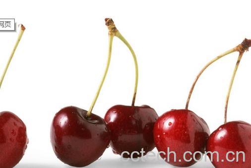 果蔬百科樱桃-0