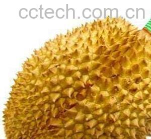 果蔬百科榴莲-0