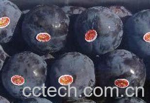 果蔬百科黑布林-0