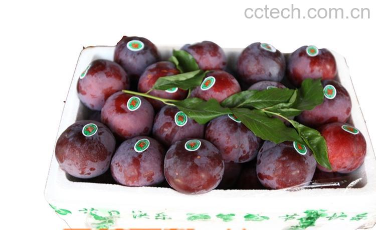 果蔬百科黑布林-0