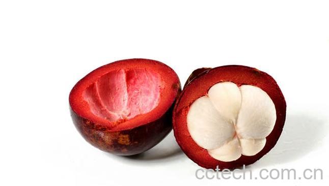 果蔬百科山竹-0