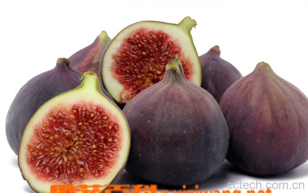 果蔬百科无花果-0