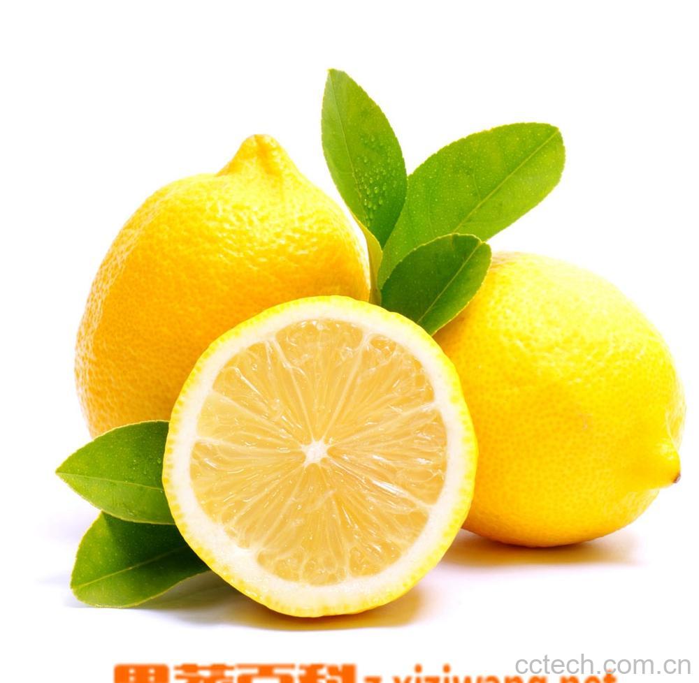 果蔬百科柠檬-0