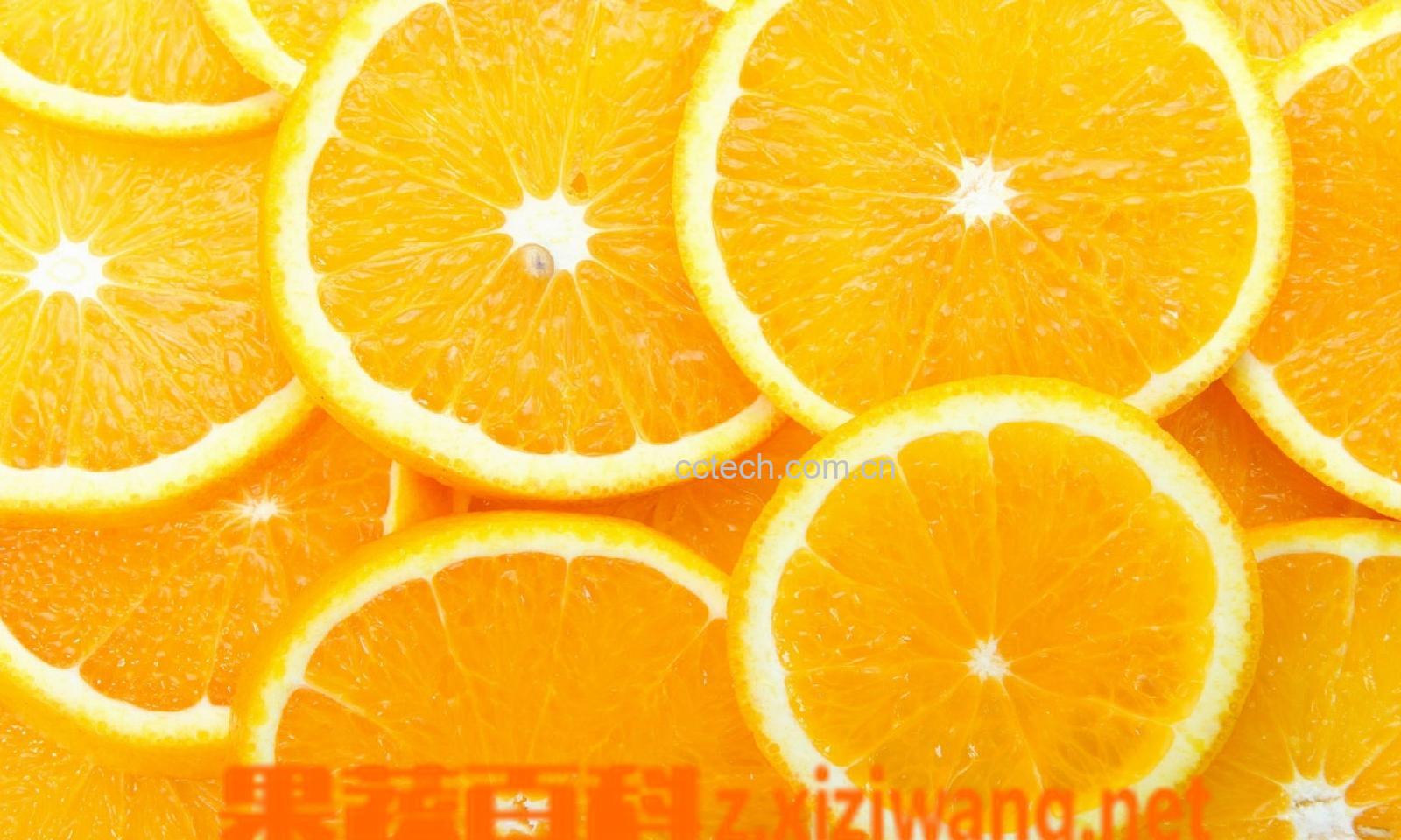 果蔬百科柠檬-0