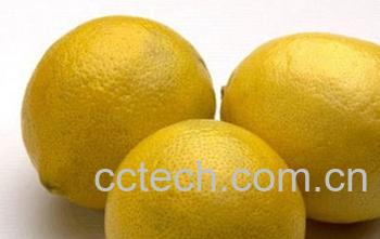 果蔬百科柠檬-0