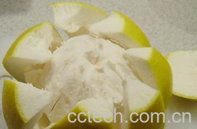 果蔬百科柚子皮-0