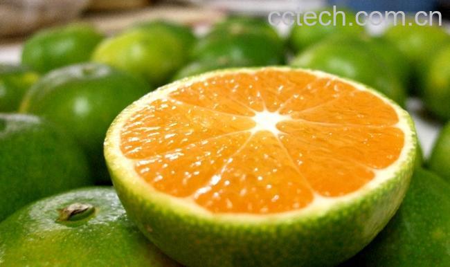 果蔬百科桔子-0