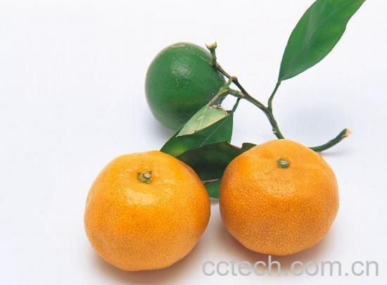果蔬百科桔子-0