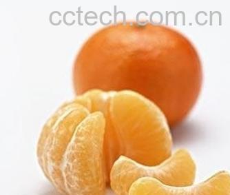 果蔬百科橘子-0