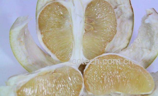 果蔬百科柚子-0