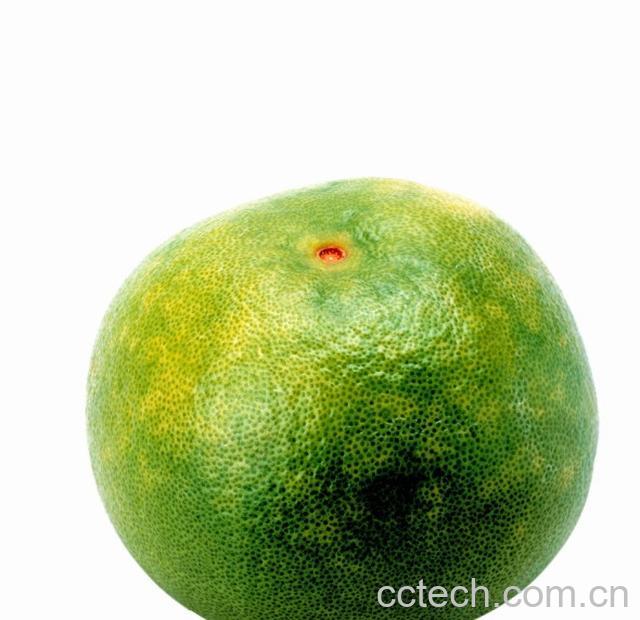 果蔬百科柚子-0